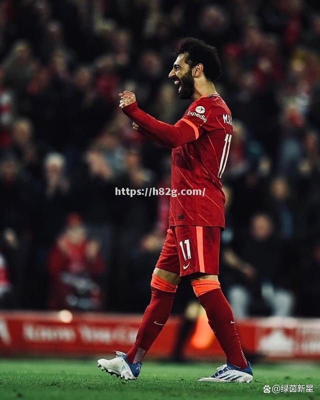 南宫娱乐-欧冠杯赵再掀足球热潮