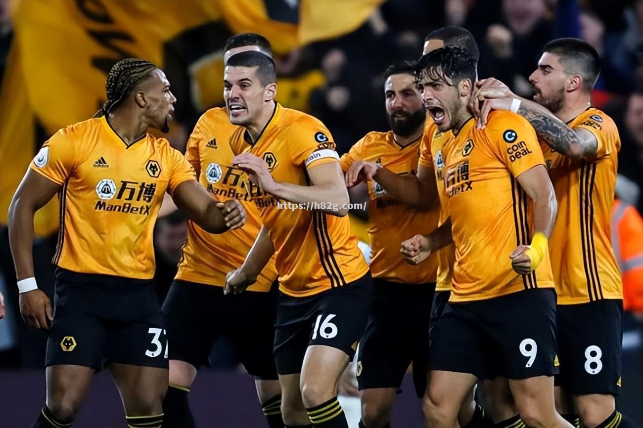 南宫娱乐-狼队主场击败埃弗顿，提升士气