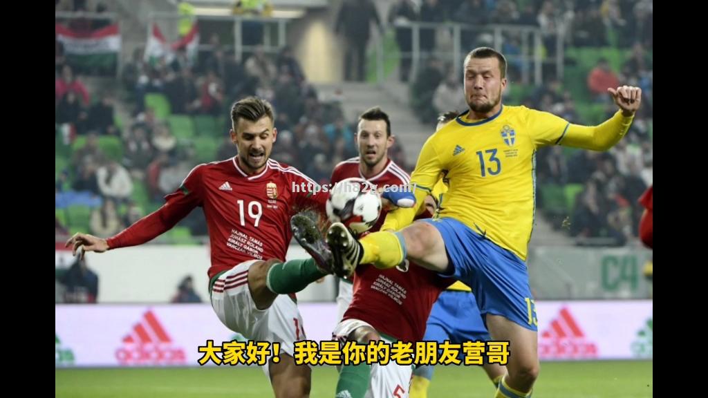 南宫娱乐-瑞典队获胜，跻身欧预赛第一名