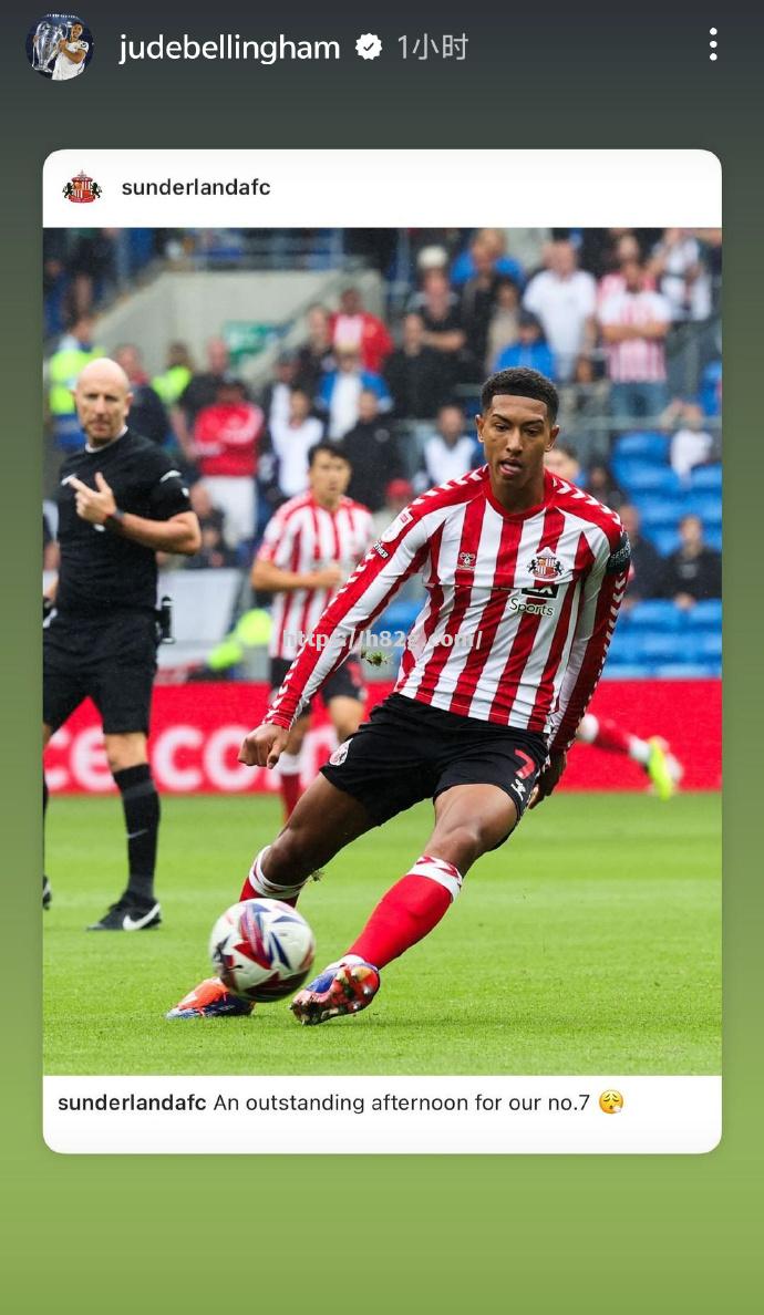 卡迪夫城挑战桑德兰：见证胜利